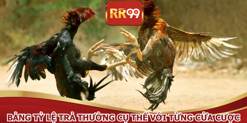 Bảng tỷ lệ trả thưởng cụ thể với từng cửa cược