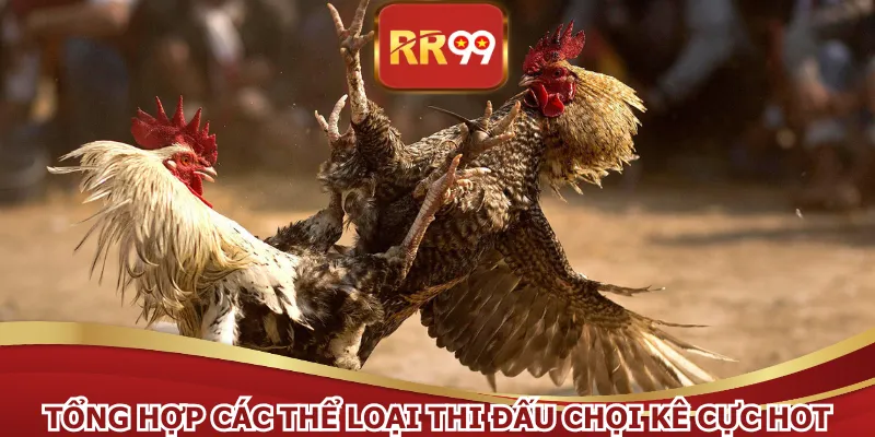 Tổng hợp các thể loại thi đấu chọi kê cực hot